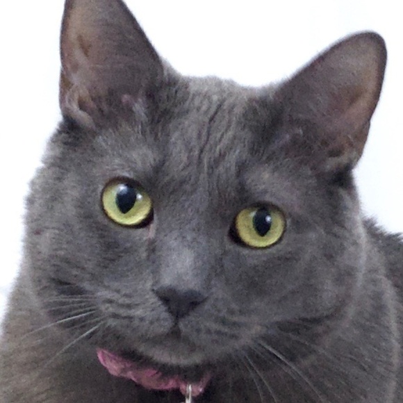 Meet your Posher, Jennifer - Picture 9 of 9